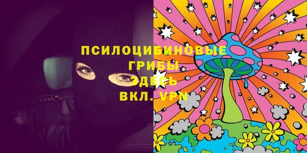 дмт Алексин