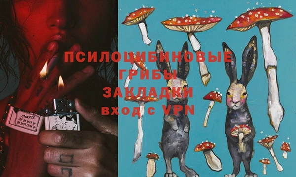 a pvp Алзамай