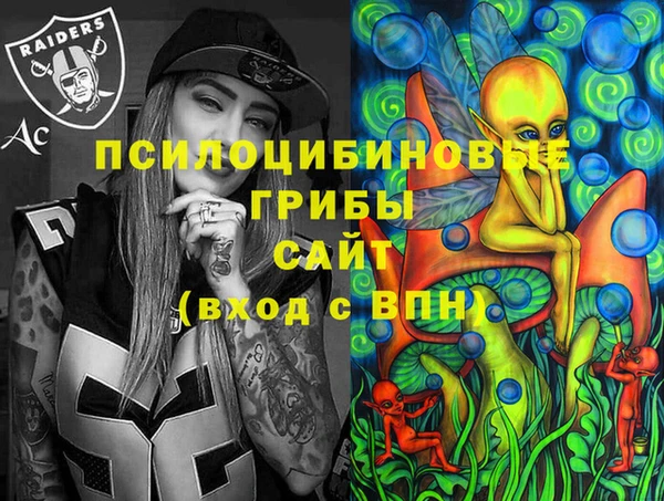 индика Алексеевка
