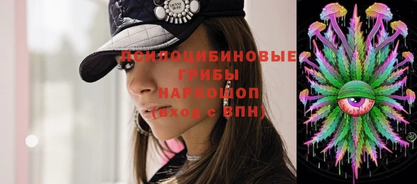 дмт Алексин